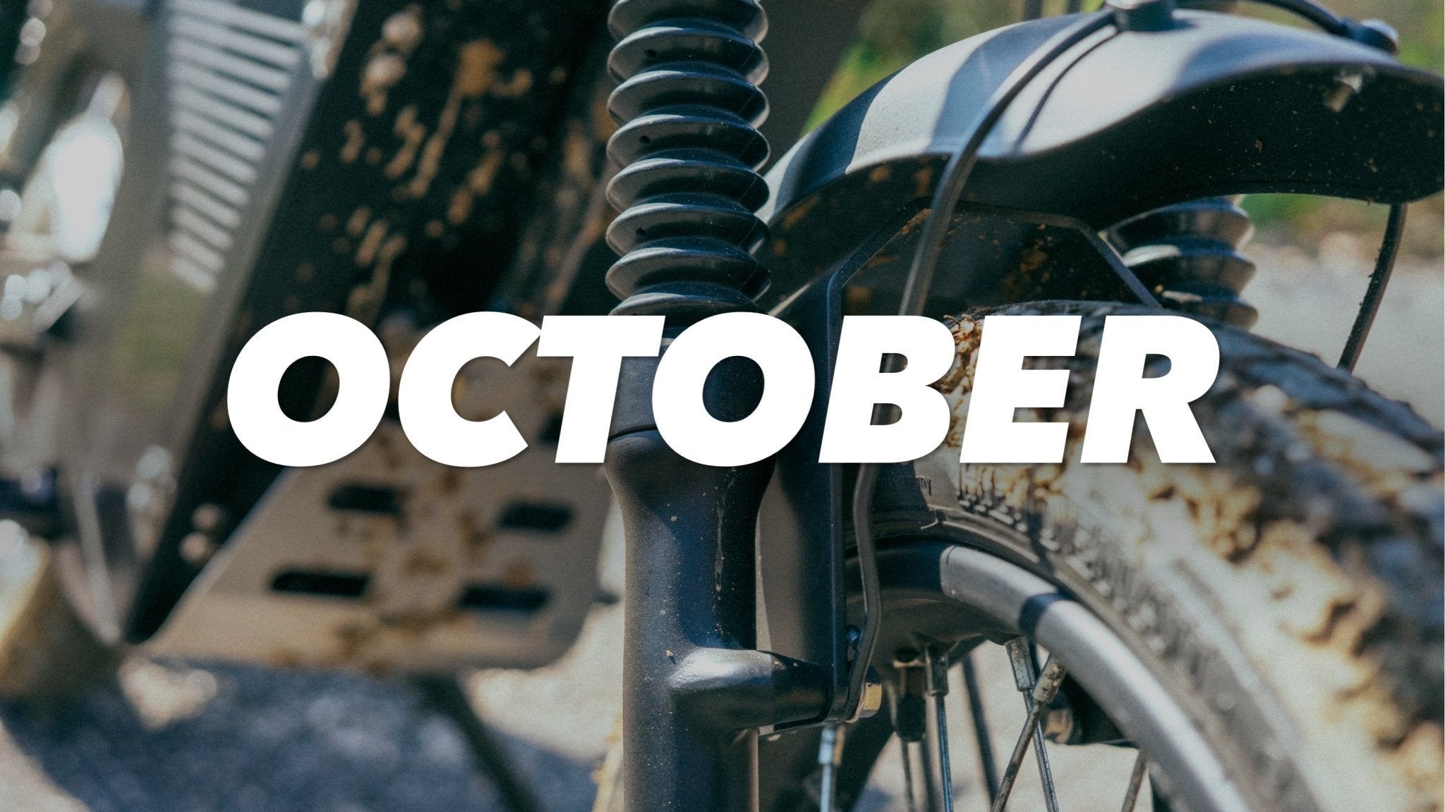 Aggiornamento di ottobre: Focus - Black Tea Motorbikes